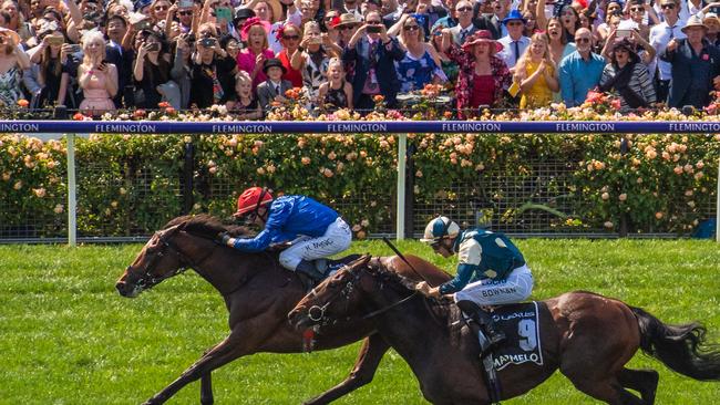 Cross Counter surged past Marmelo to win the Melbourne Cup ion front of a huge crowd at Flemington. Picture: Jason Edwards