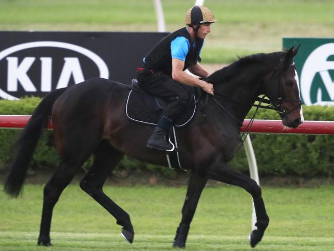 He’s Eminent on a workout at Canterbury Park during dawn trackwork in late March. Picture: Mark Evans/Getty