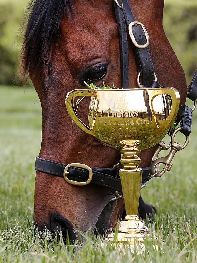 Last year’s winning Melbourne Cup horse Almandin has a pick next to the Melbourne Cup. Picture: Ian Currie