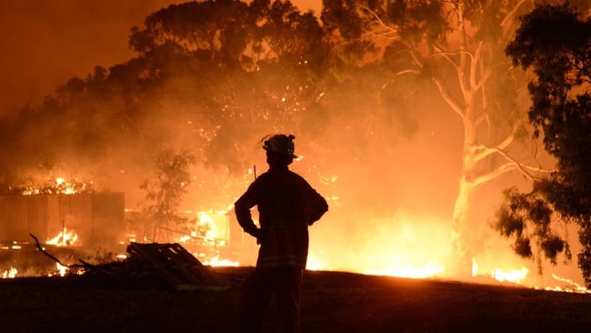 A CFS firefighter attends the Cherry Gardens bushfire. Picture: CFS