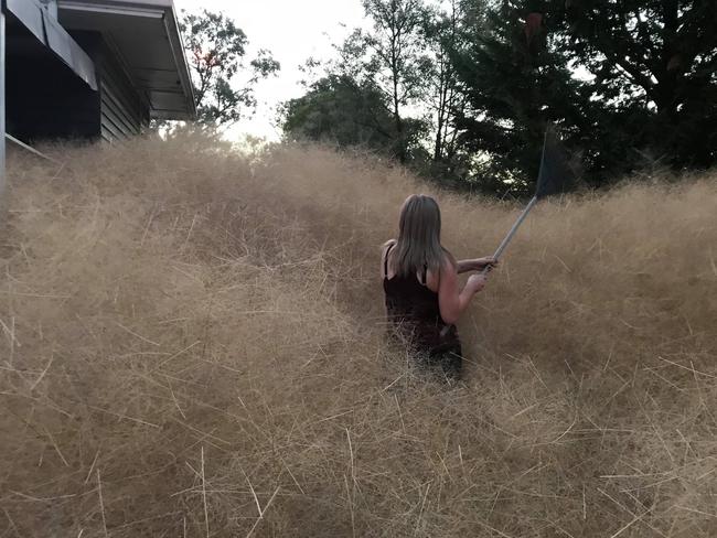 Leanne tried to clear the weed with a rake but was unsuccessful. Picture: Leanne Gloury