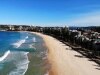 Manly Beach evacuated over shark scare