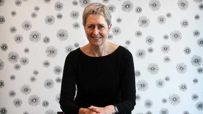 Professor Anne Kelso is the newly appointed head of the National Health and Medical Research Council, in Canberra.