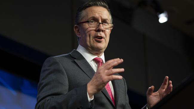 Policy misstep: Health Minister Mark Butler. Picture: NCA NewsWire / Martin Ollman