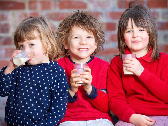 East West childcare centre uses milk from St David Dairy. The kids walk around to the dairy and pick up their milk which is in glass bottles. L to R Mina, 3, Remy, 5, Ava, 5. Picture: Mark Stewart