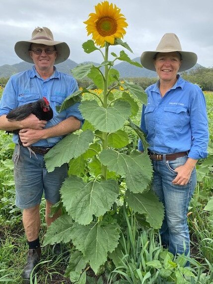 Freckle Farm owners Rob Bauman and Deb McLucas will open up their farm walks for the first time since coronavirus, on the weekend of October 10-11. For the first time the Eton farm tours will include sunflowers.