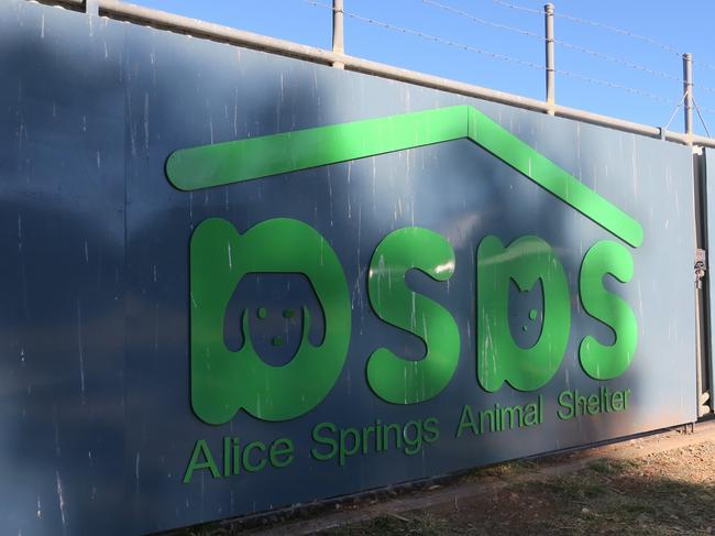 The gates to the Alice Springs Animal Shelter. Picture: Gera Kazakov