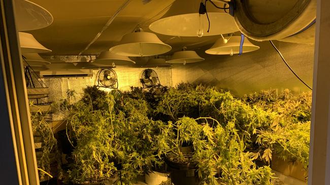 A northern suburbs man will face court after police seized cannabis, gel blasters and replica guns from a Salisbury home. Picture: SA Police
