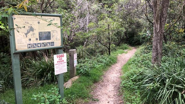 The pair are believed to have been bitten on the bush track down to Reef Beach