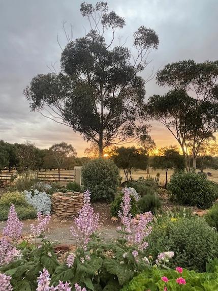 The therapy garden at Naomi Jaeschke's farm. Picture: Supplied