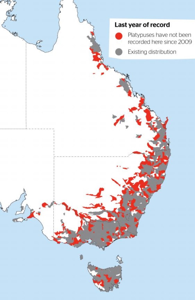 This map shows the distribution of platypuses across the east coast of Australia.