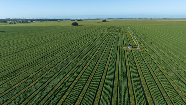 Cropping cereal, beans and canola is undertaken by the Porter family at Childerley Park.