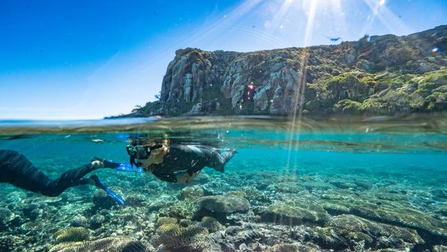 A couple has been rescued by a fisherman after a paddleboarding venture turned deadly. Picture Supplied