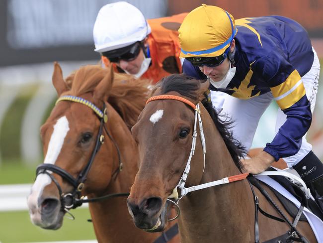 SYDNEY, AUSTRALIA - OCTOBER 02: Tommy Berry on Masked Crusader (yellow cap), wins race 6 the ACY Securities Premiere Stakes during Sydney Racing on Epsom Day at Royal Randwick Racecourse on October 02, 2021 in Sydney, Australia. (Photo by Mark Evans/Getty Images)