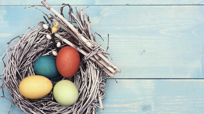 How many Easter eggs does a child need? Picture: gpointstudio