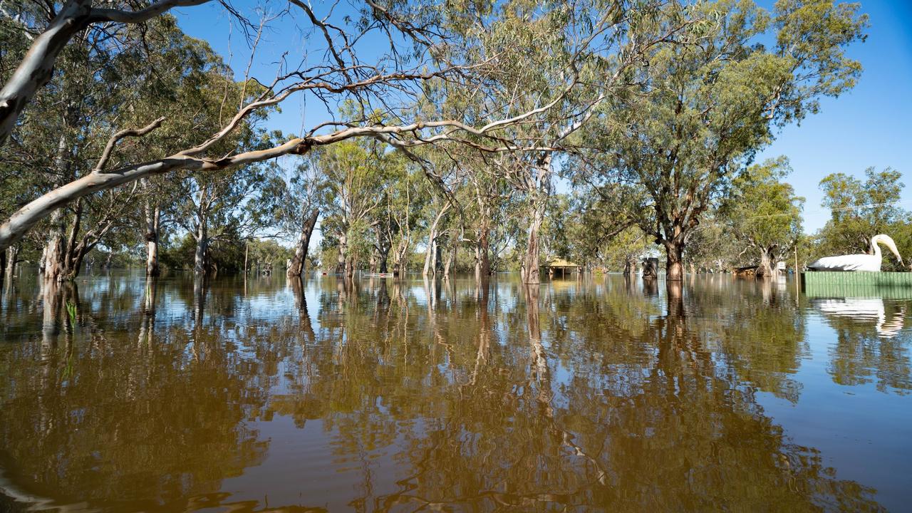 Floodwaters in Loxton. Picture: Murray River Pix