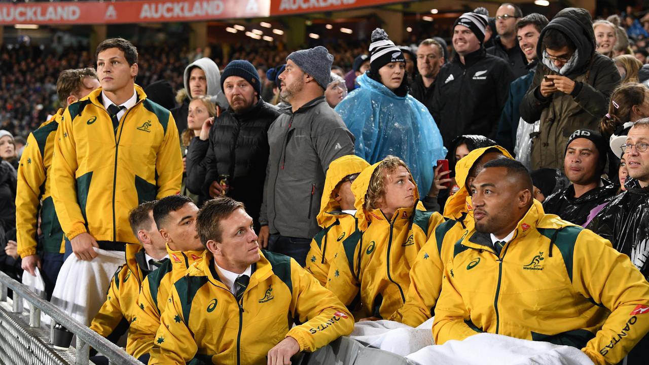 Wallabies after a projectile was thrown near them by a spectator at Eden Park.
