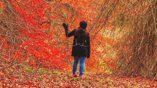 ‘A Girl Lost In The Woods’, in Mount Lofty Botanic Gardens. Picture: Manan Bhanushali