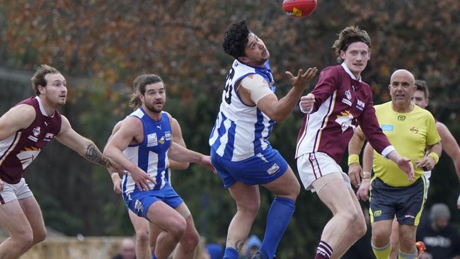 The Pioneers meet Fairpark, Glen Waverley, Scoresby and Ferntree Gully in the run home. Picture: Valeriu Campan