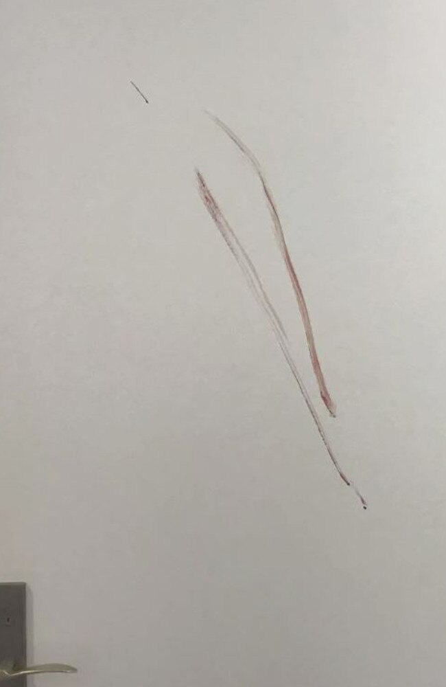 Blood on Pauline Hanson’s office door. Picture: Supplied