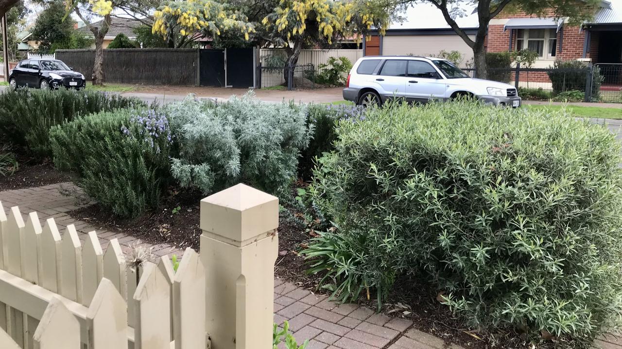 Good example of tough and drought hardy Mediterranean plants all working well together. Colours of the softest silver, sage green and blue grey are restful on hot summer days. Plants include Rosemary, Lavender and Artemisia. Corner 7th Ave/Thomas St, St Morris. Verges Alive. Picture: Jill Woodlands