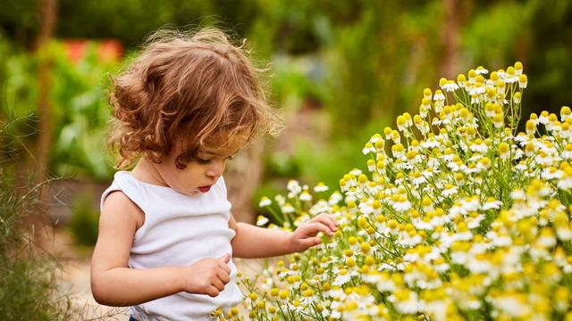 Top 10 floral baby names of 2021 from around the world revealed