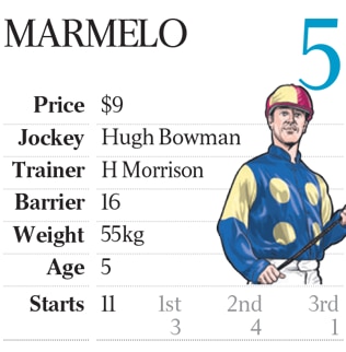 Melbourne Cup 2017 colours and stats