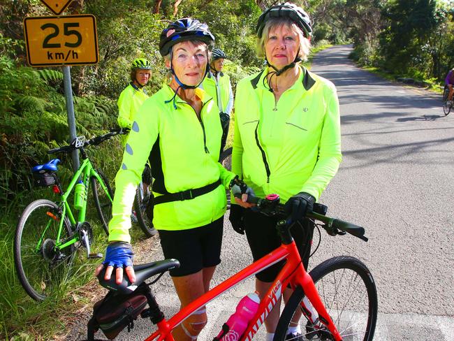 Pam Sommerville, with Sue Clubb (right), was right behind her friend when the accident happened. Picture: Phil Rogers