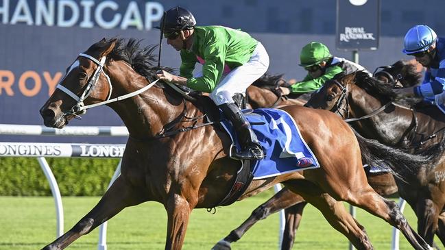 Nash Rawiller reunites with Democracy Manifest in the Five Diamonds at Rosehill on Saturday. Picture: Bradley Photos