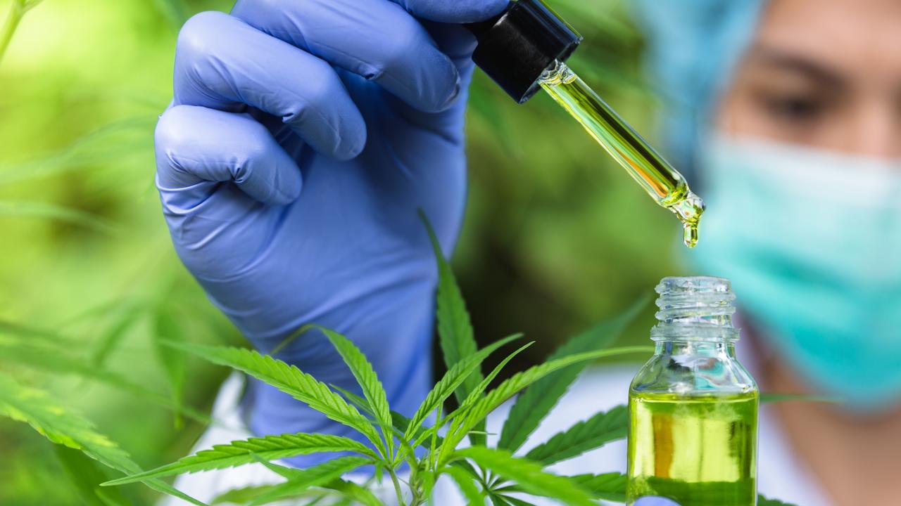 CBD oil producer Dragonfly Biosciences is again talking up its IPO plans |  The Australian