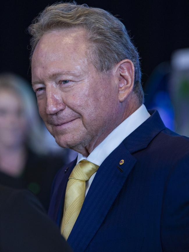 Andrew Forrest. Picture: Ross Swanborough