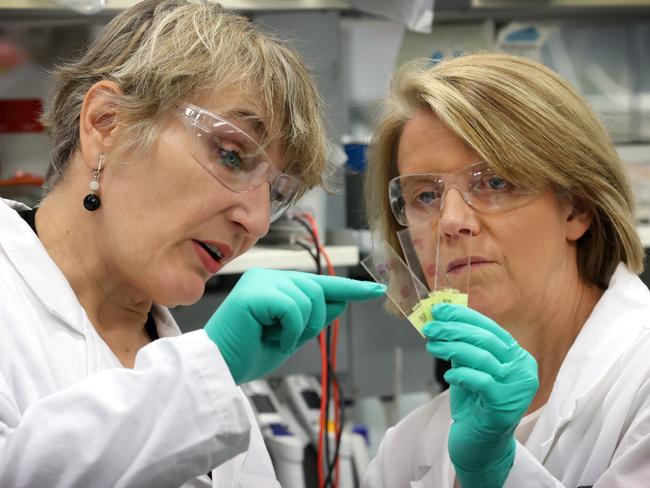 Professors Magdalena Plebanski and Clare Scott are among the scientists working to develop a new treatment for ovarian cancer. Picture: David Caird