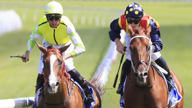 Home Affairs has versatility to take a sit on the likes of Eduardo (left) and Nature Strip (right). Picture: Getty Images