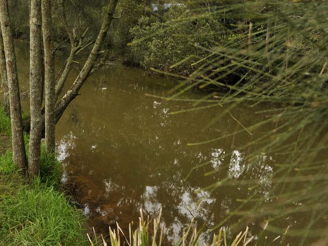 The thief swam across Narara creek after a crash at the corner of Manns Rd and Dell Rd.