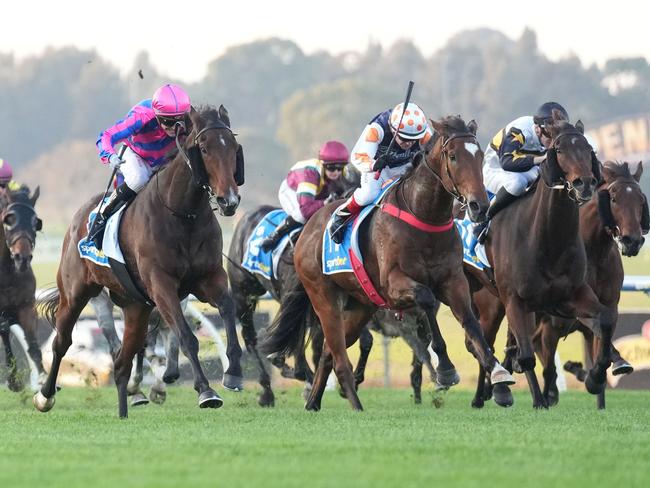 Nicolini Vito ridden by Luke Currie wins the Sportsbet Feed Handicap at Sportsbet Sandown Hillside Racecourse on May 25, 2024 in Springvale, Australia. (Photo by Scott Barbour/Racing Photos via Getty Images)