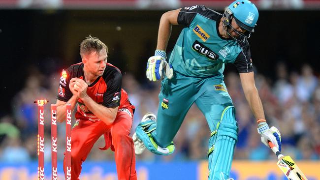 The Melbourne Renegades have kept their season alive with a tense one-run win over the Brisbane Heat.