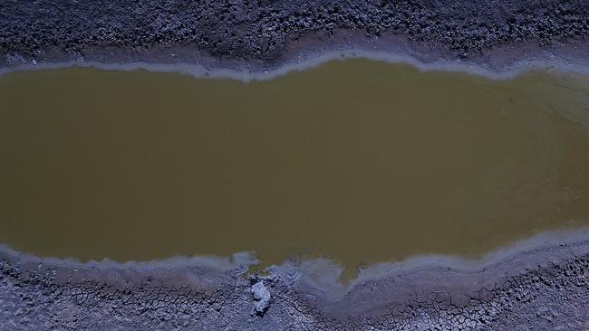 In this February, 2019 picture, a decaying sheep stuck in the mud of a water canal between Pooncarie and Menindee, which has been under pressure from low water flow as a result of the continuing drought.