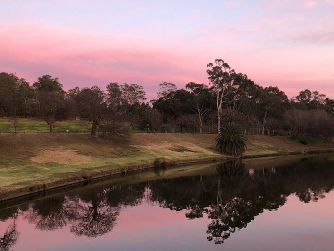 Morning run through Parramatta Park at 6am. #SnapSydney 2018. Picture: @finnstagram2142