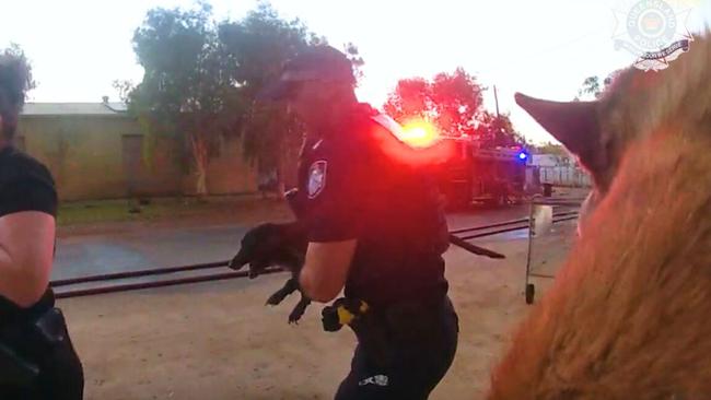 Quick thinking: Bodycam footage shows a Mount Isa police officer rescuing two dogs from a property near the raging industrial fire on Duchess Road. Source: QPS