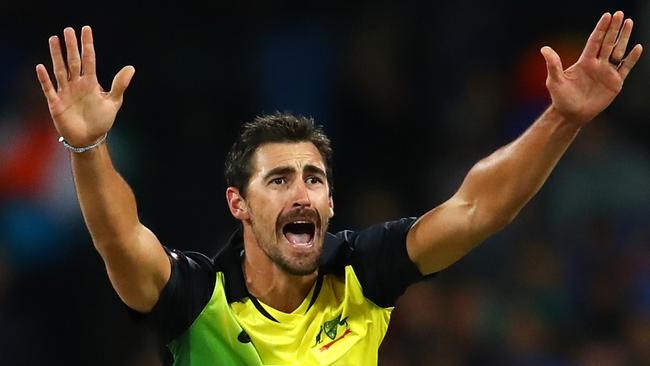 Mitchell Starc bowled well on his return to the Aussie T20 set up.