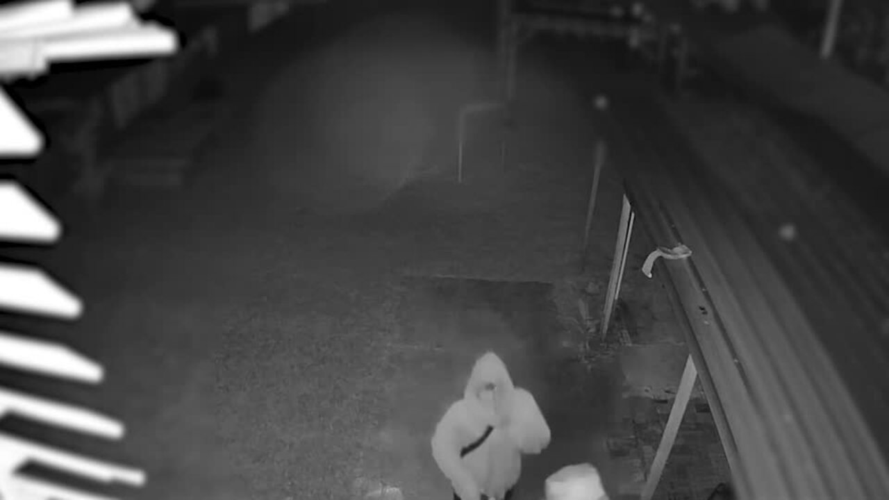 Rockhampton burglary with violence appeal