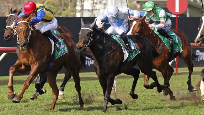 So Say You (white cap) can bounce back from an unlucky run last start and take out the TAB Highway. Picture: Getty Images