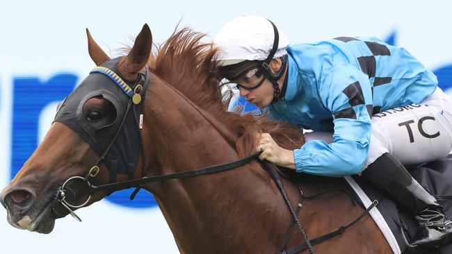 Ellsberg will target the Magic Millions 3YO Guineas next month. Picture: Getty Images