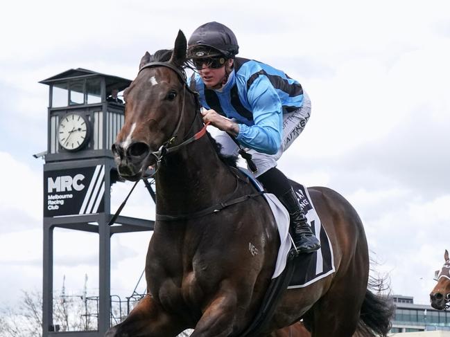 Asfoora ridden by Mitchell Aitken wins the Metcap Finance Schillaci Stakes at Caulfield Racecourse on October 14, 2023 in Caulfield, Australia. (Photo by Scott Barbour/Racing Photos via Getty Images)