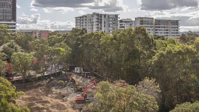 Hundreds of trees are being removed to make way for the Ivanhoe Estate at Macquarie Park.