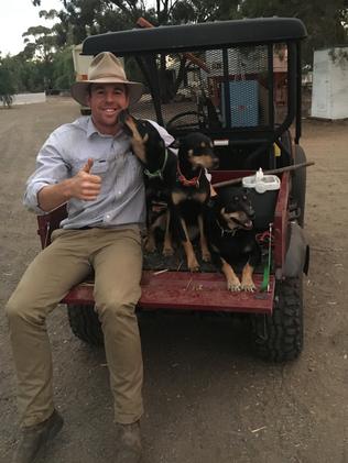 Pucker up: Zeb Broadbent getting a smooch from Kelpie Lucy, with Ivy and 10-year-old Charlie also hitching a ride. Pictures: Zeb Broadbent