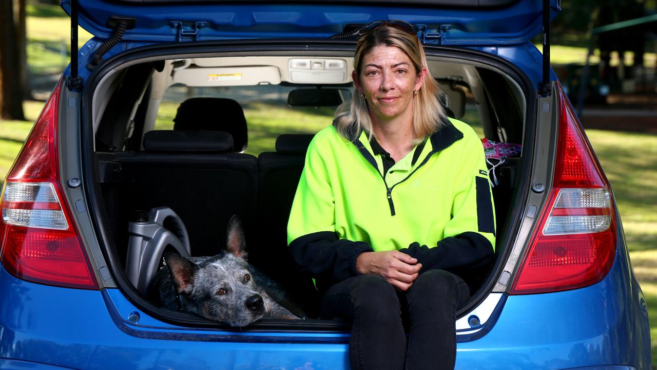 Jessica Pomerenke is sleeping in her car with her three dogs Koda (pictured), Summer and Boffa after struggling for months to find a rental in the Greater Brisbane area. Picture: David Clark