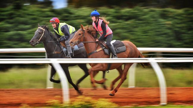 Track work takes place early in the morning. Photo: Tony Gough/NewsCorp