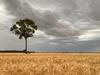 Cost crunch for Aussie farmers