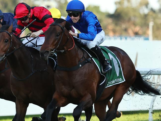 SYDNEY, AUSTRALIA - SEPTEMBER 14: Zac Lloyd riding Traffic Warden wins Race 8 James Squire Run To The Rose during Sydney Racing at Rosehill Gardens on September 14, 2024 in Sydney, Australia. (Photo by Jeremy Ng/Getty Images)